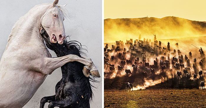 30 Captivating Images Showcasing Nature, Taken By Photographers From Around The World