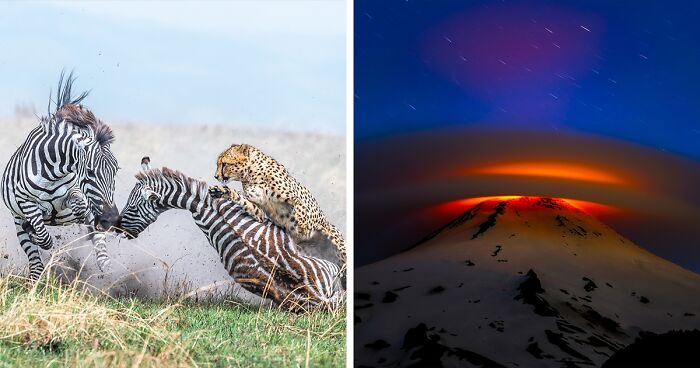 Tokyo International Foto Awards 2023: 62 Winning Nature-Themed Images