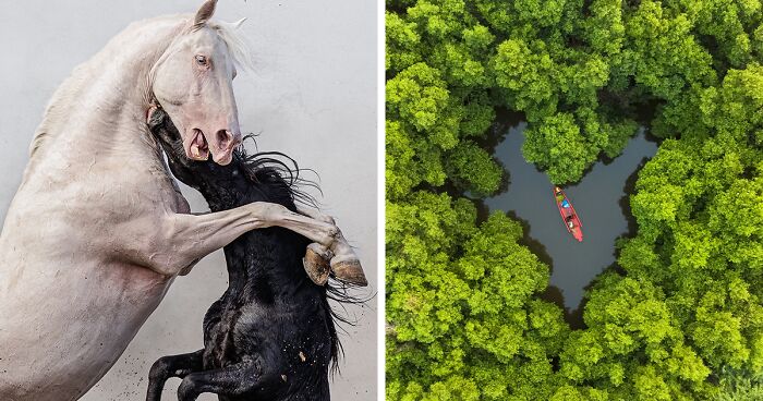 62 Winning Nature Images from The Tokyo International Foto Awards 2023