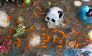 Aquarium With Real Fish Created Around Fire Hydrant “Puddle” Draws Criticism For Its Cruelty