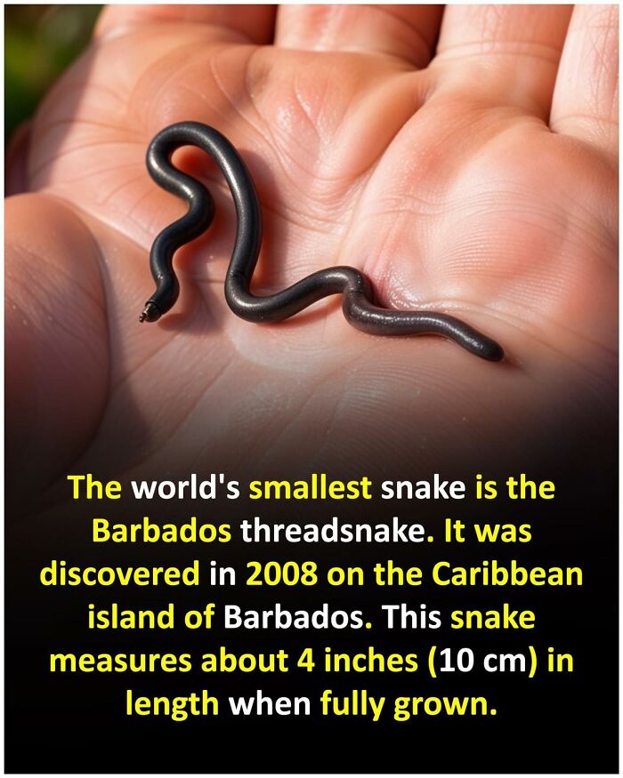 Unusual-Interesting-Facts