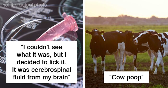 People Share 62 Of The Most Unusual And Bizarre Things They Tasted That Not Many Have