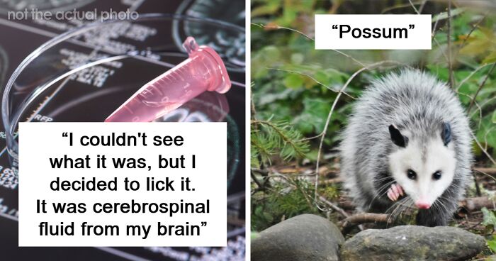 62 People Describe The Most Unusual Thing They’ve Ever Tasted