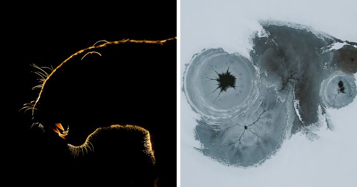 Meet The Winners: 25 Images From The Shapes 2024 Selected By All About Photo Magazine Awards