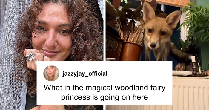 “Cheeky” Wild Fox Frequently Sneaks Into Woman’s Home And Sleeps In Her Bed: “Not Pest”