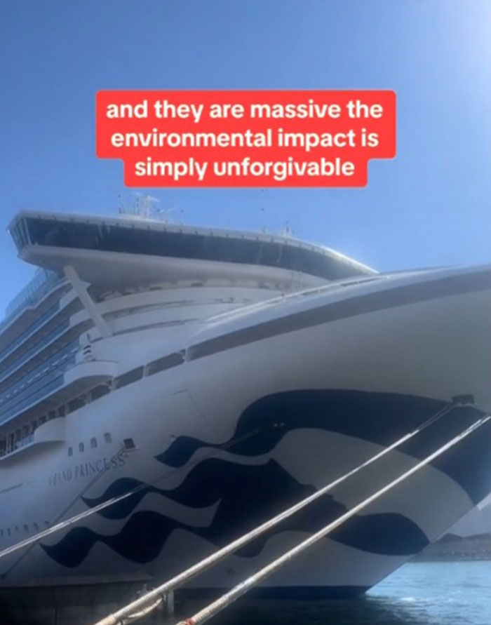 "No One Is Telling You The Truth": Woman Shares Why No One Should Go On Cruises