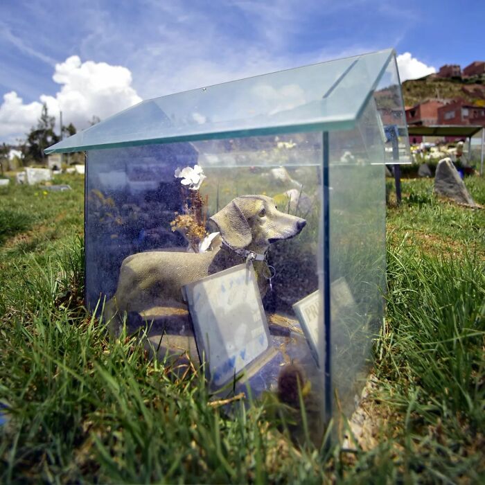 This Instagram Account Shows Us What Pet Cemeteries Tell Us About Human Emotions (23 Pics)