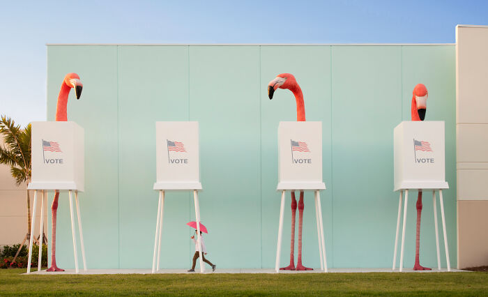 Flamingo Fever: Inspiring Votes With A Pop Of Pink (17 Pics)