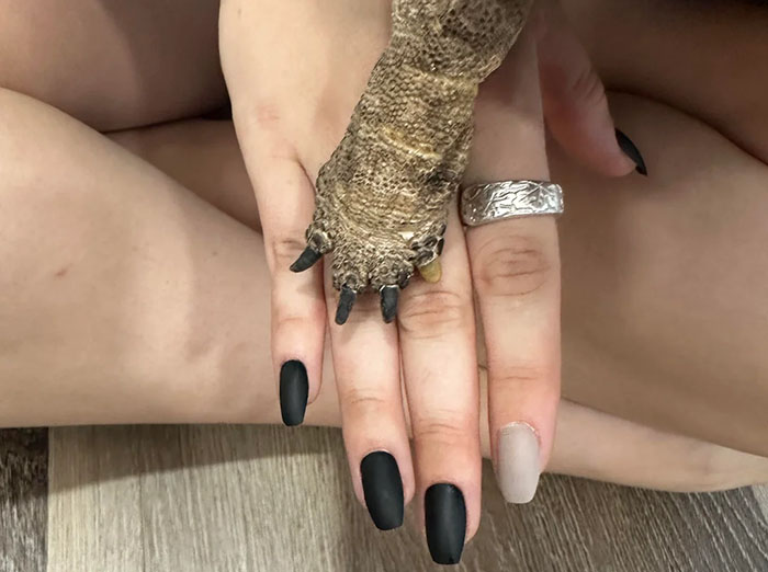 People Online Are Obsessed With This Cute Tortoise And His Owner, Who Got A Matching Manicure