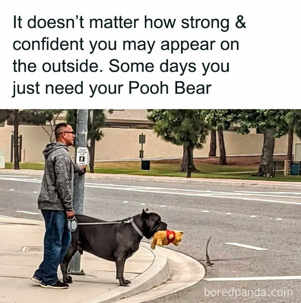 Follow @doggocom2 For Dog Memes Every Day. #dogs #dogsofinstagram #dog #dogstagram #puppy #doglover #dogoftheday #instadog #doglovers #doglife #pets #puppylove #puppies #pet #puppiesofinstagram #dogsofinsta #cute #instagram #of #petsofinstagram #dogslife #doggo #animals #dogmemes #doggomemes #doggos #doggo