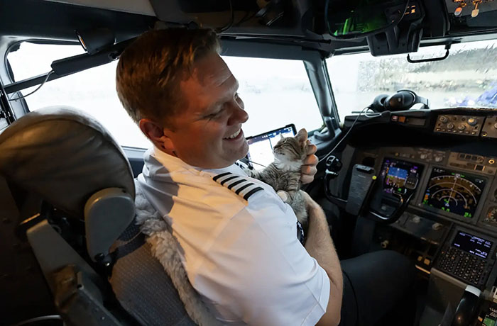 Airlines Help Evacuate Shelter Animals, Pilot Falls In Love With A Kitty And Decides To Adopt Her