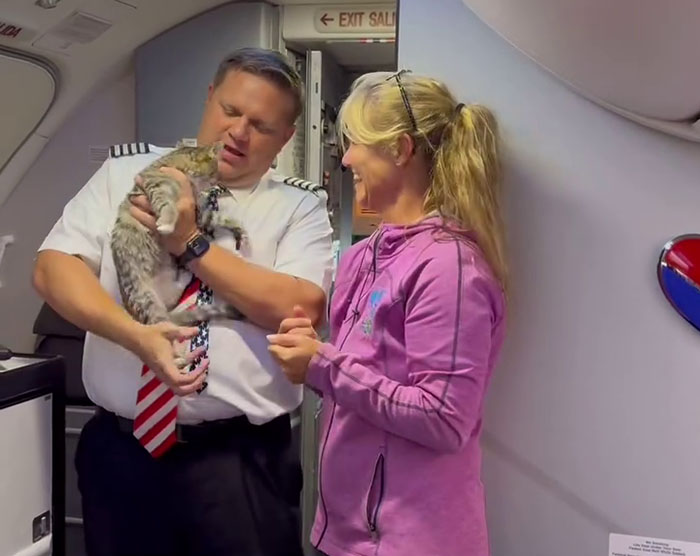 Airlines Help Evacuate Shelter Animals, Pilot Falls In Love With A Kitty And Decides To Adopt Her