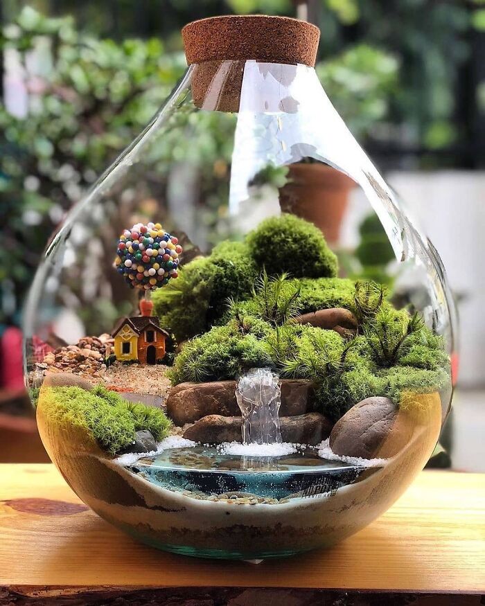 Miniature Terrarium By Jardim No Pote