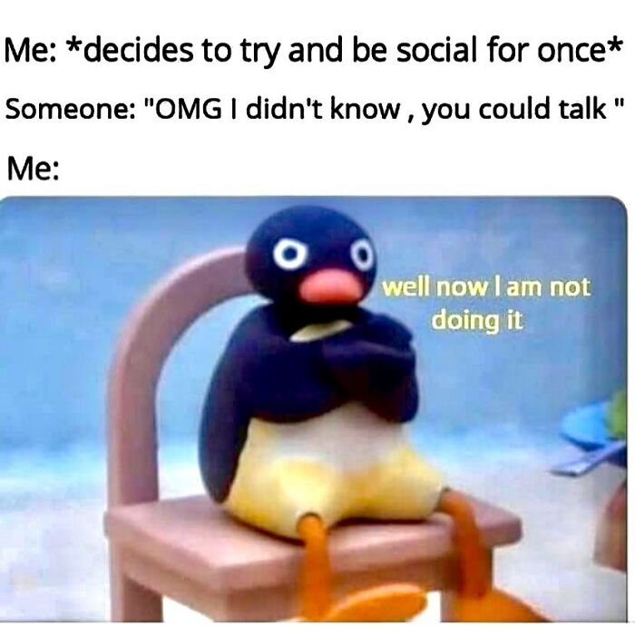 Hilarious-Relatable-Introvert-Memes