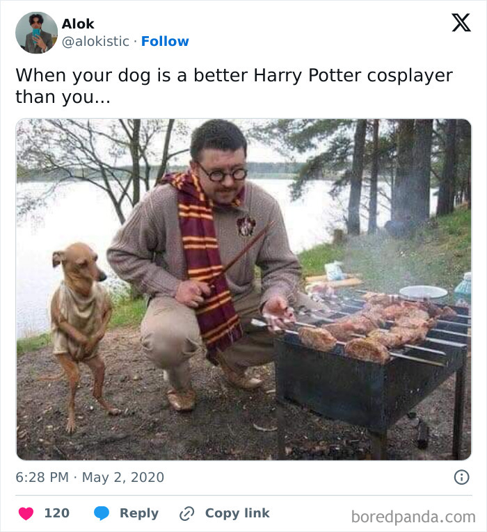 Funny-Harry-Potter-Memes