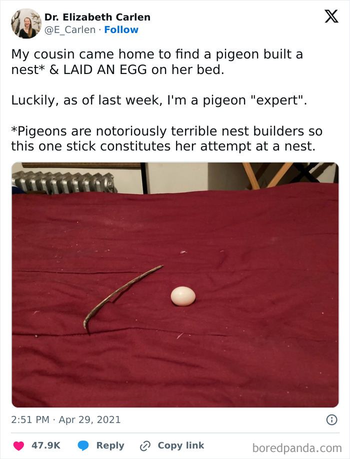 To Build A Nest