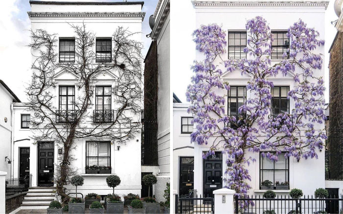 South Kensington Townhouse Photo By Bei.bei.wei