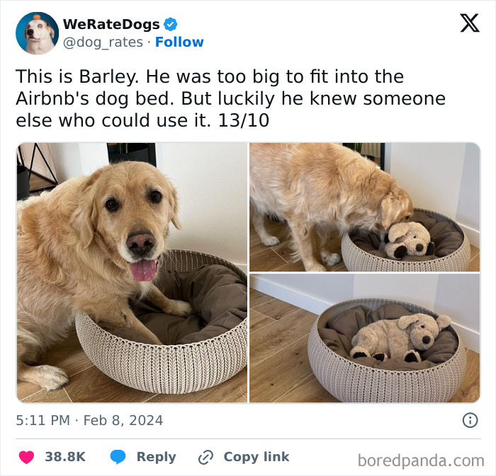 Funny-Chonky-Woofers-For-My-Depression-Memes