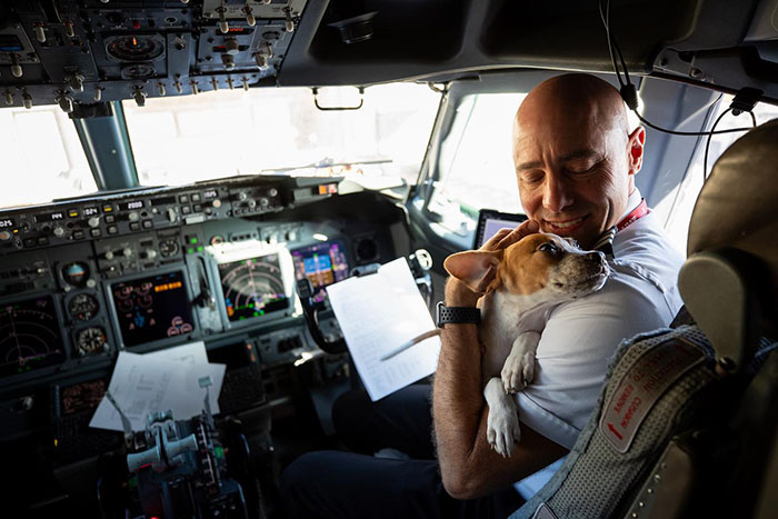 Airlines Help Evacuate Shelter Animals, Pilot Falls In Love With A Kitty And Decides To Adopt Her