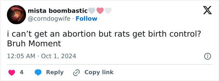 "Rat Birth Control" Bill Passed In New York City Sparks Outrage: "I Can't Get An Abortion"