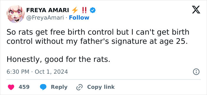 "Rat Birth Control" Bill Passed In New York City Sparks Outrage: "I Can't Get An Abortion"