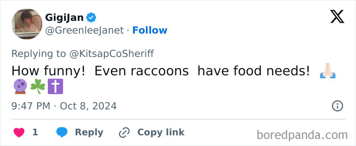 "Her Own Damn Fault!": Woman Calls 911 After Over 100 Raccoons Swarm Her Yard "Demanding Food"