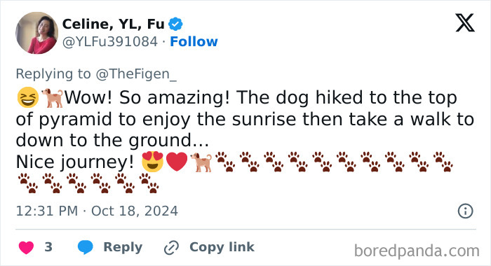 “It’s His Now”: Viral Dog That Climbed The Pyramid Of Giza Finally Comes Down