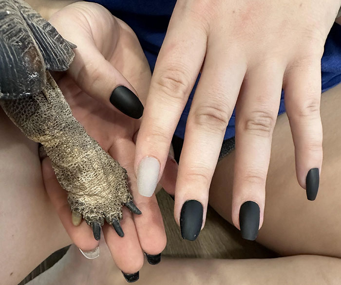 People Online Are Obsessed With This Cute Tortoise And His Owner, Who Got A Matching Manicure