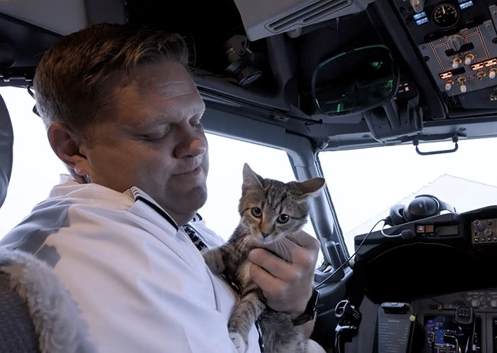 Airlines Help Evacuate Shelter Animals, Pilot Falls In Love With A Kitty And Decides To Adopt Her