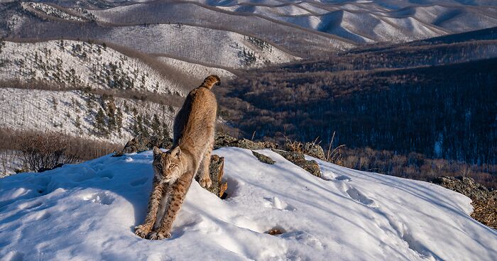 15 Winning Photographs Of This Year’s Photographer Of The Year Competition