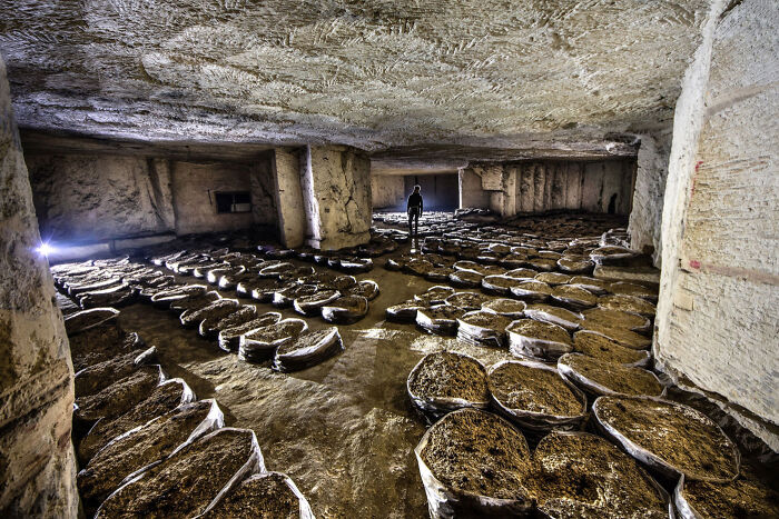 Mines With Mushrooms, France