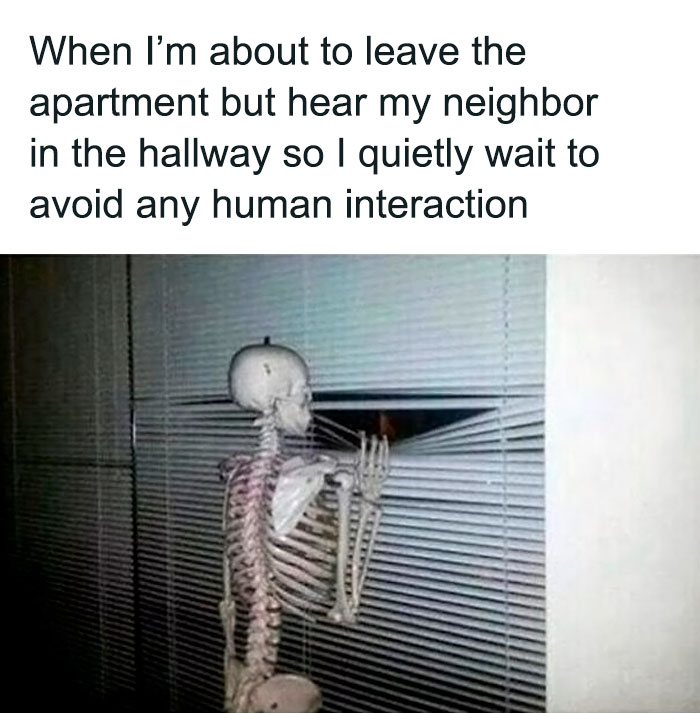 Hilarious-Relatable-Introvert-Memes