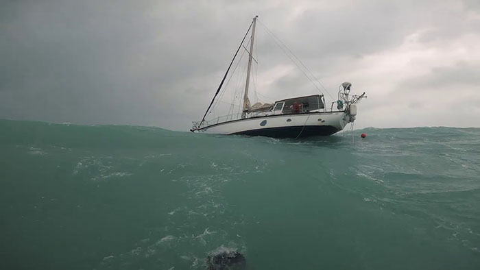 Hurricane Traps Man And His Dog On The Ocean, They Manage To Call The Coast Guard And Get Rescued