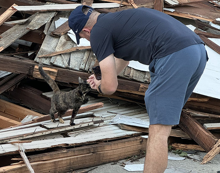 Reporter Arrives To Check Hurricane's Damage And Is Met By Fluffy Survivor