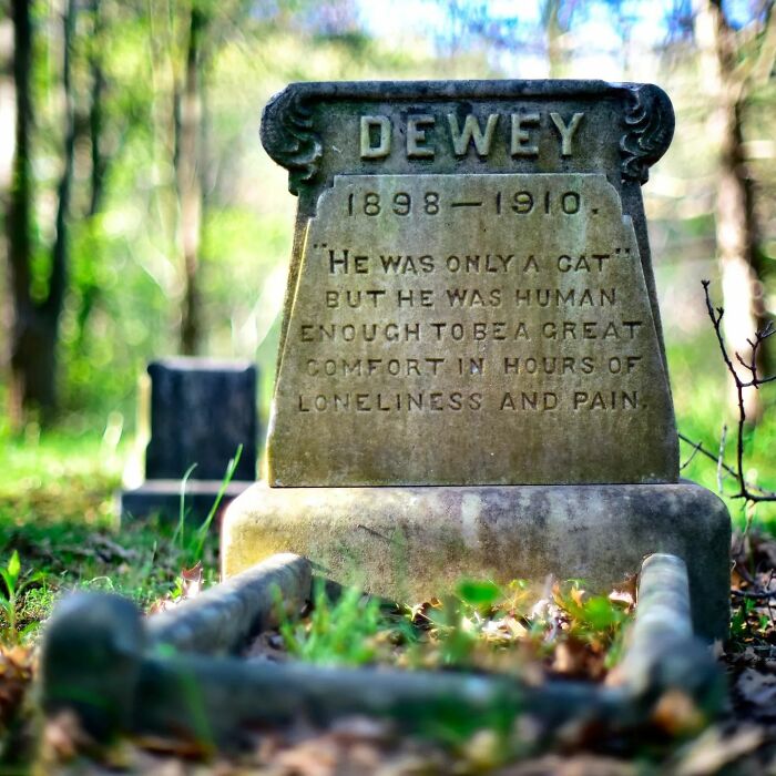 This Instagram Account Shows Us What Pet Cemeteries Tell Us About Human Emotions (23 Pics)