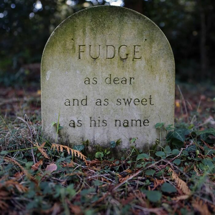 This Instagram Account Shows Us What Pet Cemeteries Tell Us About Human Emotions (23 Pics)