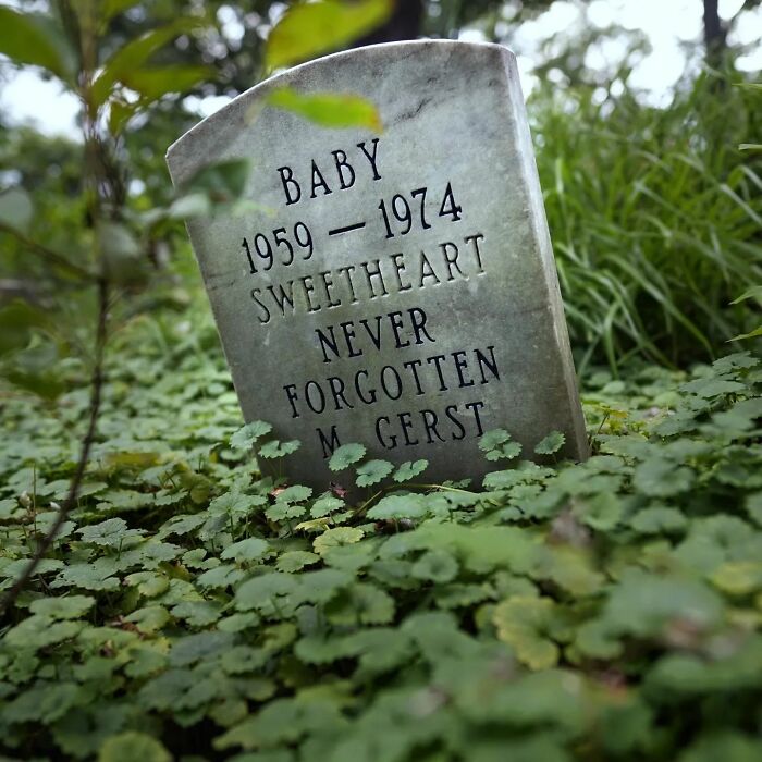 This Instagram Account Shows Us What Pet Cemeteries Tell Us About Human Emotions (23 Pics)