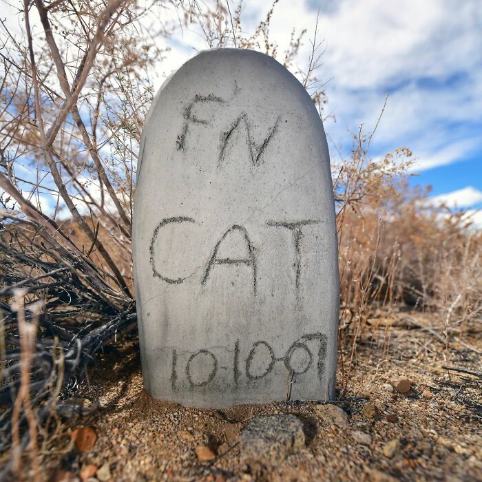 This Instagram Account Shows Us What Pet Cemeteries Tell Us About Human Emotions (23 Pics)