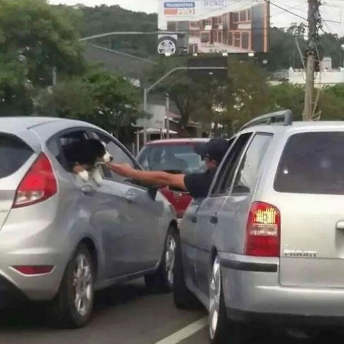 Man reaching out to pet a dog through car windows in traffic; captures adorable-weird moment.