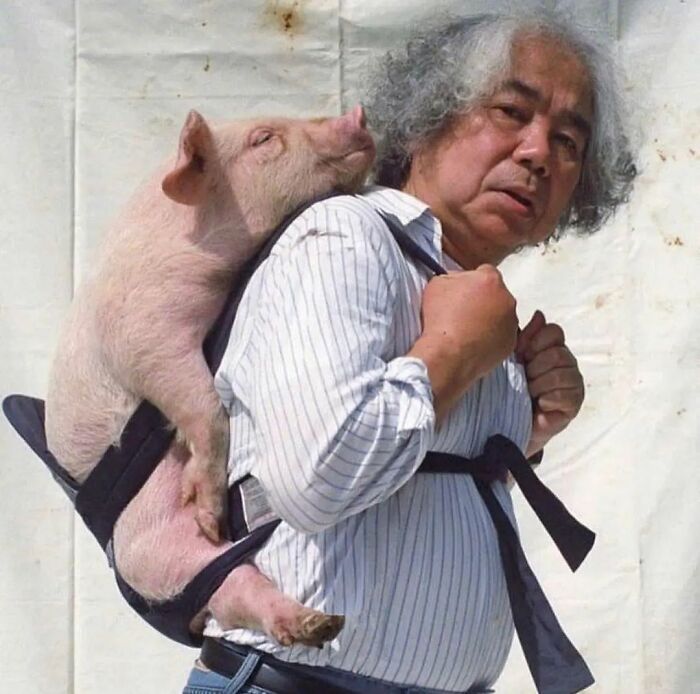 Man with gray hair carries a pig in a backpack, showcasing adorable weird images on Instagram.