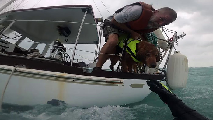 Hurricane Traps Man And His Dog On The Ocean, They Manage To Call The Coast Guard And Get Rescued