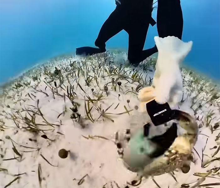 People Online Are Very Amused By This Crab Who Stole A Camera And Went On Filming His Adventures