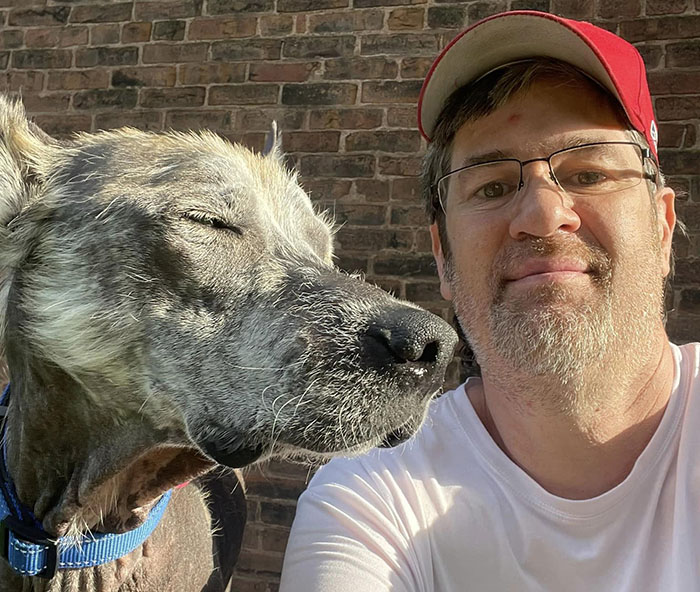 Terribly Neglected Dog Gets Rescued, Reveals His Full Beauty When He Heals And Grows Back His Fur