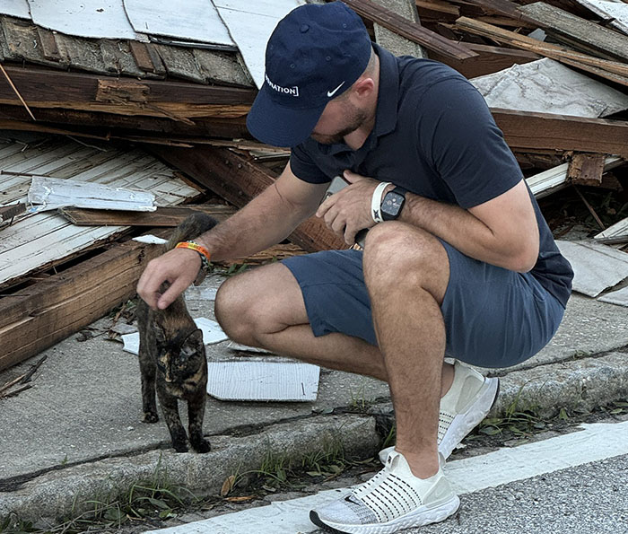 Reporter Arrives To Check Hurricane's Damage And Is Met By Fluffy Survivor