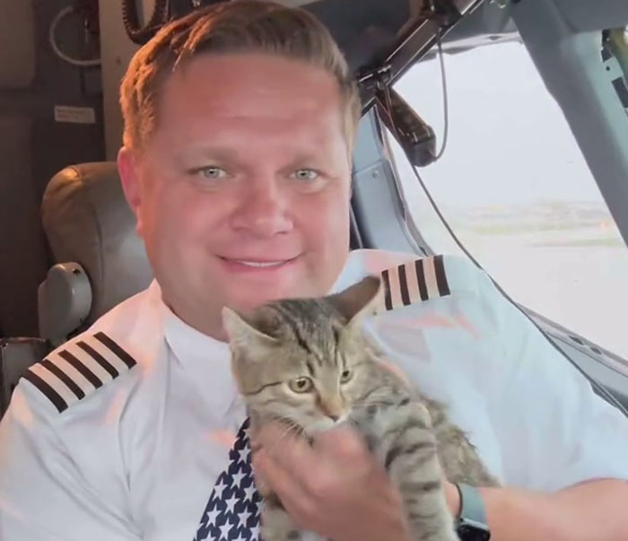 Airlines Help Evacuate Shelter Animals, Pilot Falls In Love With A Kitty And Decides To Adopt Her