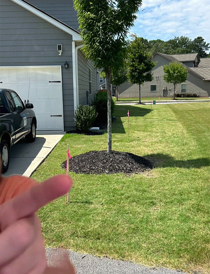 “I Was Trying To Be Kind”: Woman Gives Neighbor A Shot At Bigger Lawn, Faces Rudeness Instead