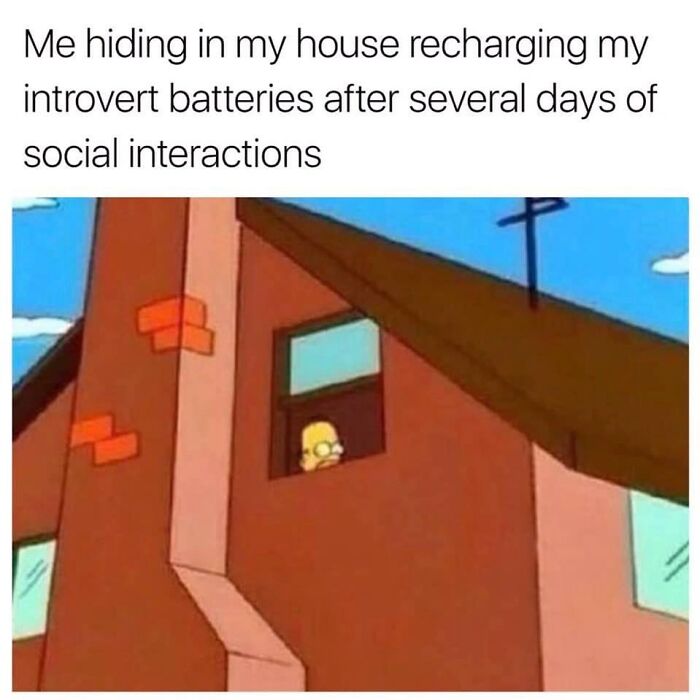 Hilarious-Relatable-Introvert-Memes