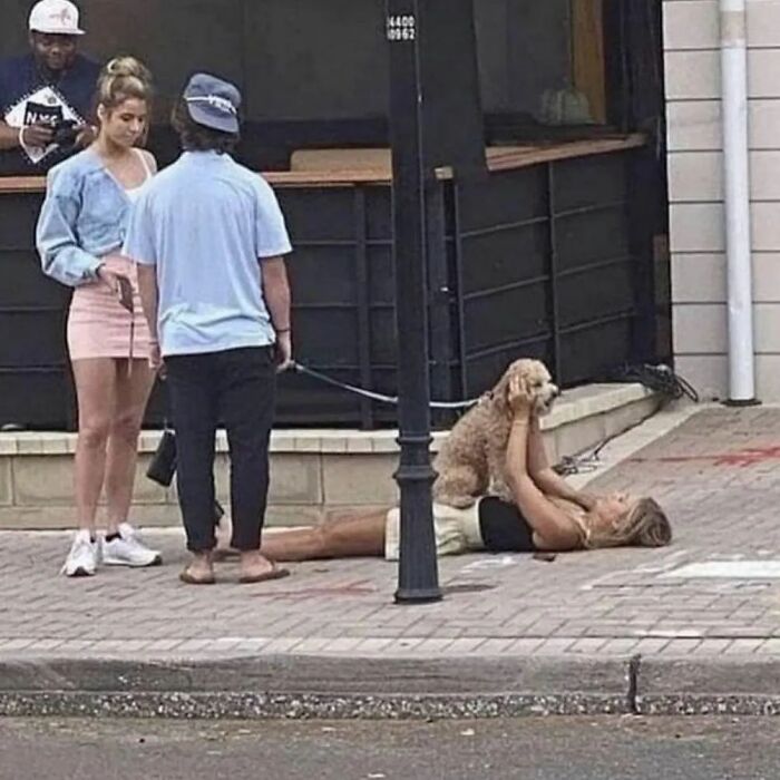 Person lying on sidewalk lifting a dog into the air while two others watch; quirky moment captured for Instagram.