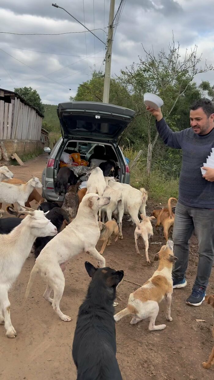 Man feeding stray dogs from his car trunk, surrounded by attentive dogs on a dirt road.