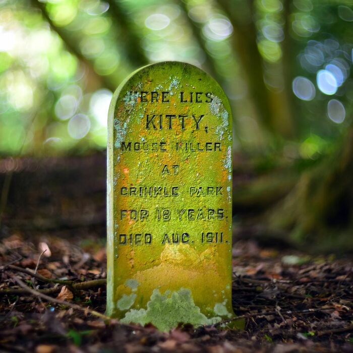 This Instagram Account Shows Us What Pet Cemeteries Tell Us About Human Emotions (23 Pics)